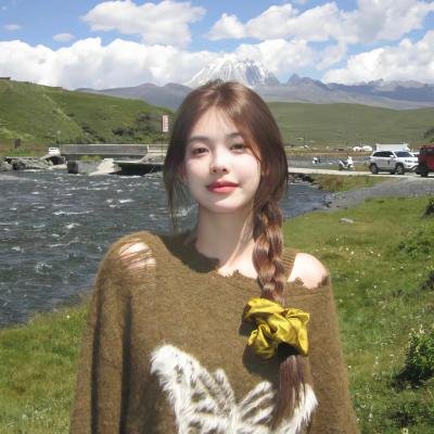 冰球小王子